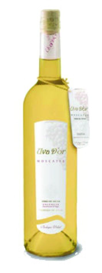 MOSCATEL UVA D'OR