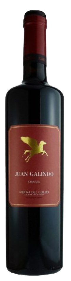 Juan Galindo tinto